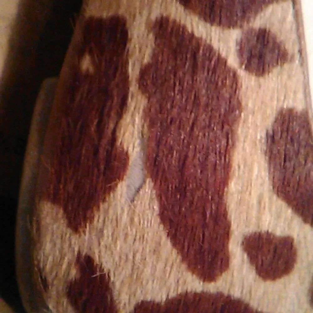 Talbots Calf Hair Flats - Picture 5 of 14